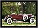 1931, Deluxe, Zabytkowy, Samochód, Packard
