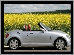 Daihatsu Copen, Prawy, Profil