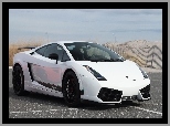 Gallardo, Lamborghini, Superleggera