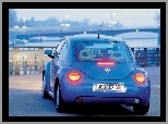 Volkswagen New Beetle