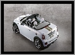 Mini Roadster, Prototyp