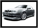 Saab 9-5, Srebrny