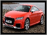 Audi TT RS