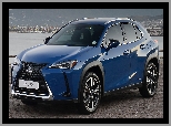 Lexus UX, Hybryda